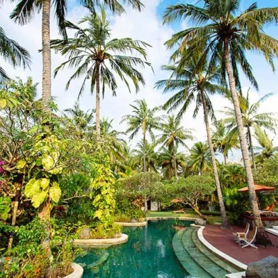the-anandita-freeform-pool Villa Anandita - Villa Gallery