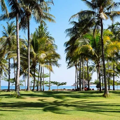 the-anandita-lawn-and-ocean Villa Anandita - Villa Gallery