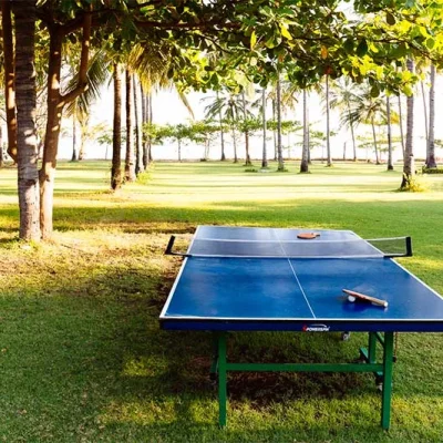the-anandita-table-tennis Villa Anandita - Villa Gallery