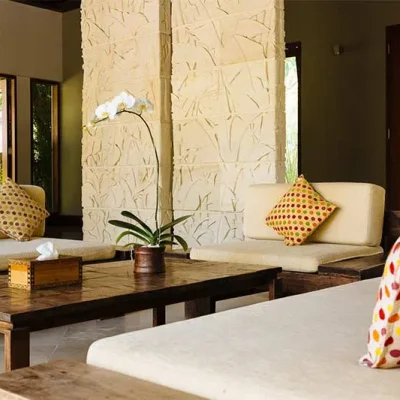 the-anandita-villa-living-area-detail Villa Anandita - Villa Gallery
