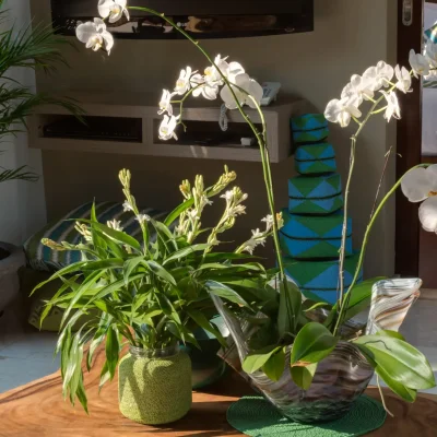 Eshara II – Table decorations Villa Eshara Lima - Villa Gallery