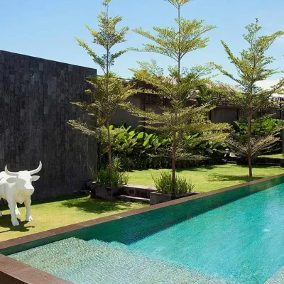 Villa-Issi-Bull-and-pool Villa Issi - Villa Gallery