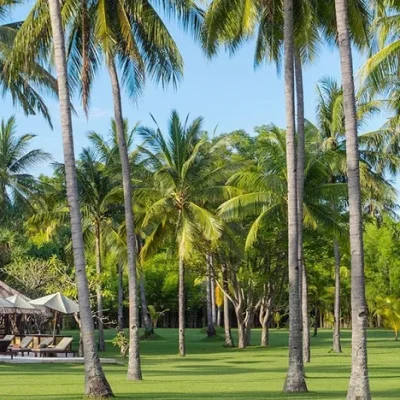 Sira Beach House – Coconut tree Villa Sira - Bali Villa