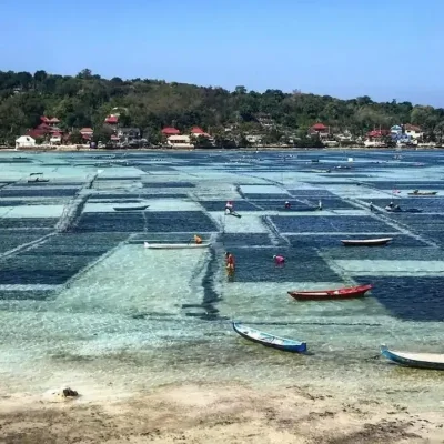 8 Villa Jipsi Lembongan - Villa Gallery