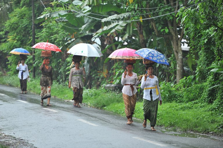 Bali Rain
