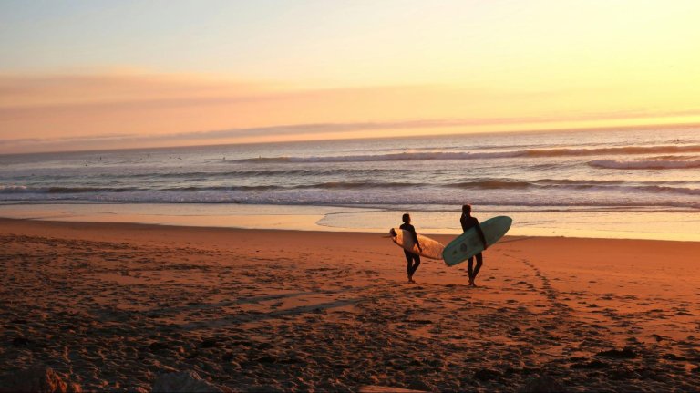 Surf