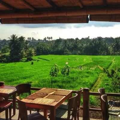 cafe in ubud family friendly restaurant bali family villas guide