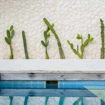 Villa Beach Tonic - Villa Gallery