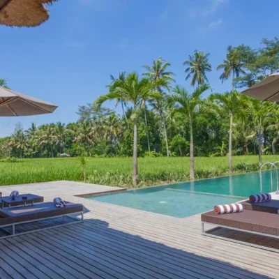 59.-Villa-Lumia-Bali-View-on-the-Neighboring-Rice-Fields Villa Lumia - Bali Villa
