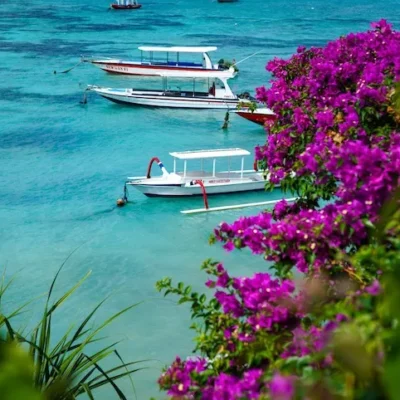 Villa Beach Tonic - Villa Gallery