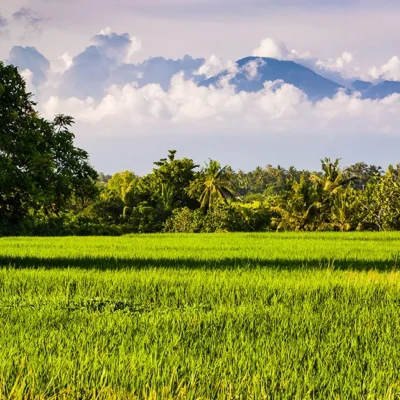 Seseh-Beach-Villas-Refresh-your-soul-with-mountain-views-2 Seseh Beach Villa Estate - Villa Gallery