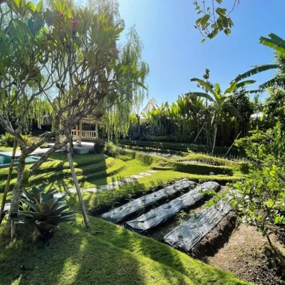 Villa-Bogor-Canggu-Garden-1030×773 Villa Bogor Canggu - Villa Gallery