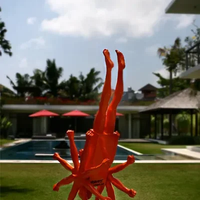 Villa-Kalyani-Garden-art Villa Kalyani - Villa Gallery