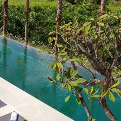 Villa palmhouse Villa Palm House - Bali Villa