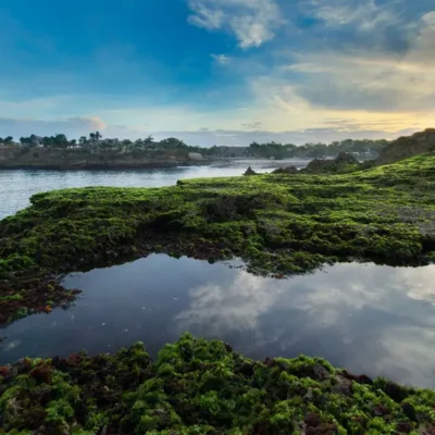 Voyage – Rock pools by the Devil’s Tear Villa Voyage - Villa Gallery