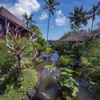 amaru_gallery_14_garden_ponds Villa Amaru - Villa Gallery