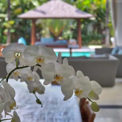 villa-tjitrap-best-luxury-villa-seminyak-bali-98-1030×687 Villa Tjitrap - Villa Gallery