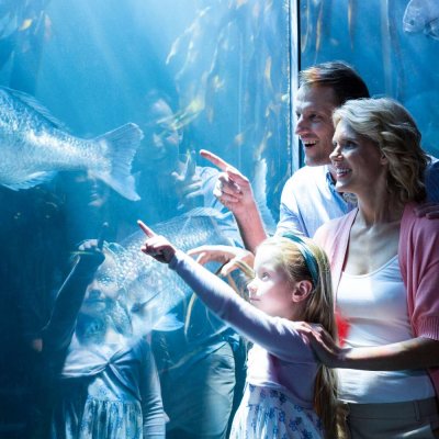 Marine Park Safari Bali featuring diverse marine and safari animals, open-air exhibits, and visitors exploring tropical wildlife attractions in a family-friendly environment.